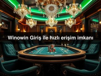 Winowin Giriş