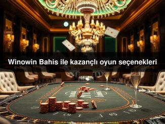 Winowin Bahis