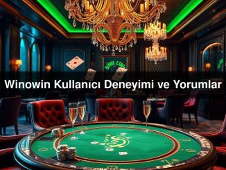 Winowin Kullanıcı